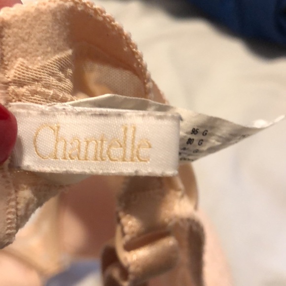 CHANTELLE - EUC Bra (36DDDD) - Picture 5 of 6